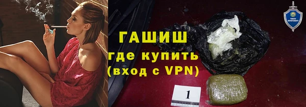 гашик Алексин