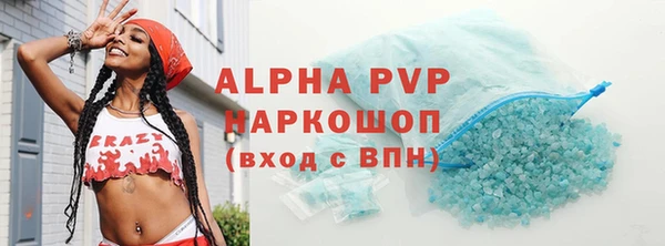 гашик Алексин