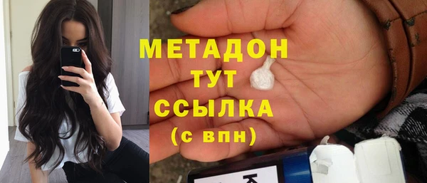 гашик Алексин