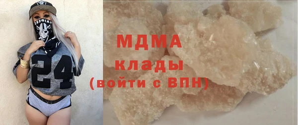 гашик Алексин