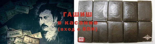 гашик Алексин
