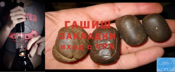 гашик Алексин