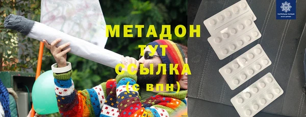 гашик Алексин