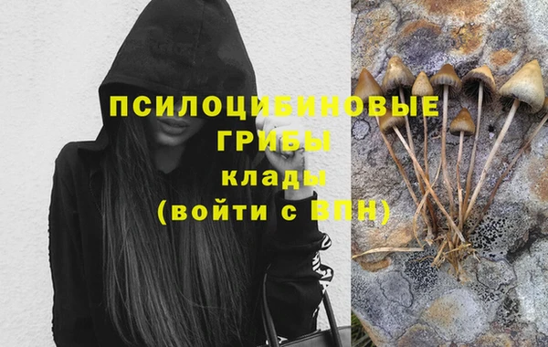 гашик Алексин