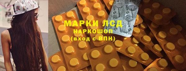 гашик Алексин