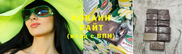 гашик Алексин