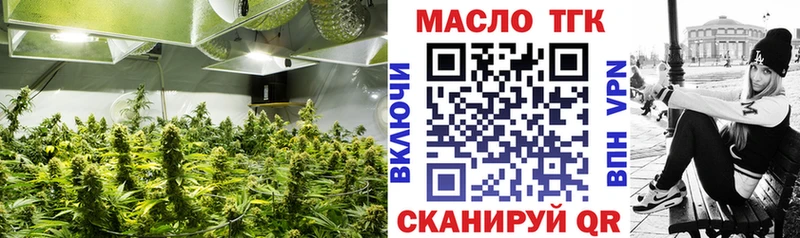 ТГК концентрат Бикин
