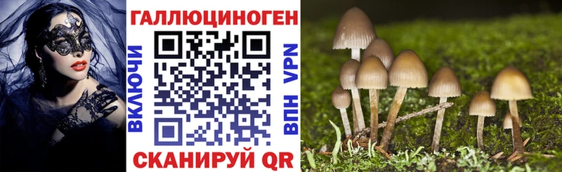 Галлюциногенные грибы мицелий  где купить наркоту  Бикин 